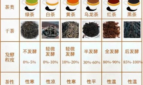 跌打生骨颗粒吃多少天一个疗程-跌打生骨颗粒怎么样专区_跌打生骨颗粒是中药还是中成药啊专区_跌打生骨颗粒   骗网
