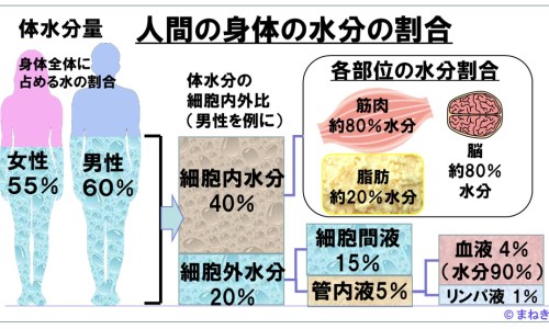 跌打生骨颗粒价格-跌打生骨颗粒怎么样专区_跌打生骨颗粒是中药还是中成药啊专区_跌打生骨颗粒   骗网